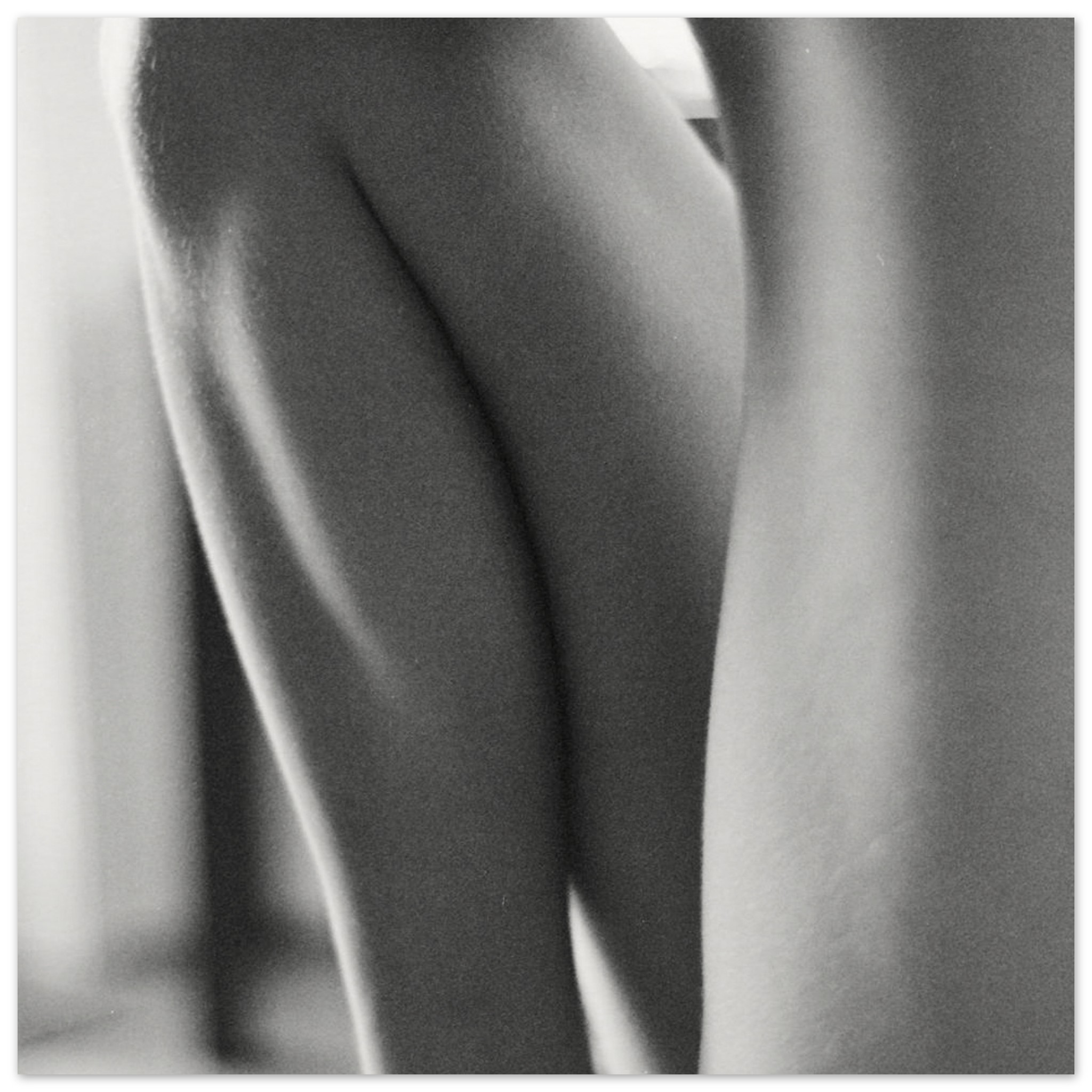 54c3dd64-17ce-4164-af84-a8ff1ba398e6